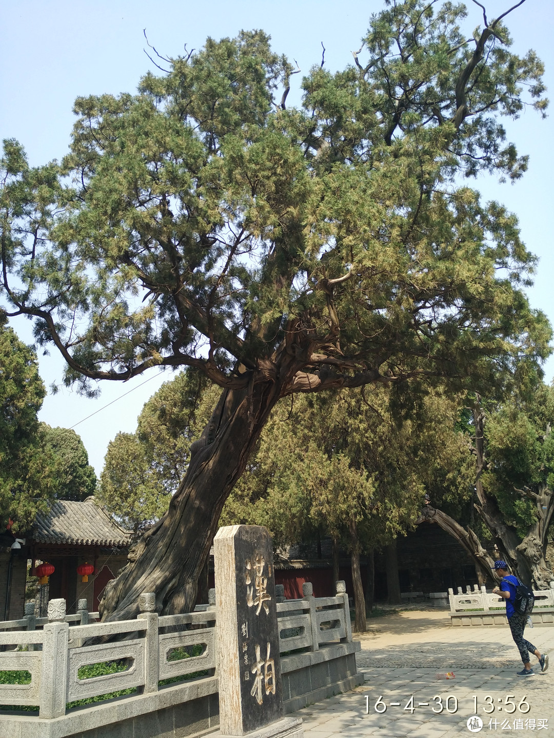 一只单身汪关于泰山+岱庙的游记流水账