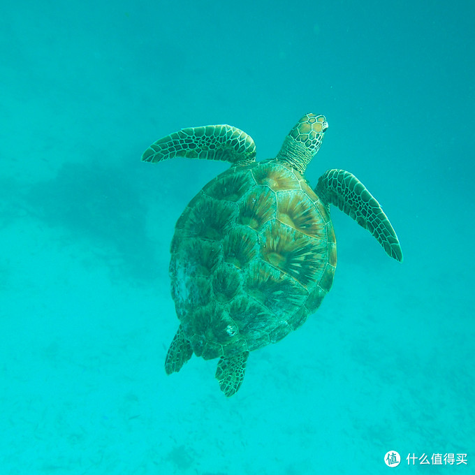 马达京岛旅行游记 去马达京需要带什么 多少钱 马达京岛图片 什么值得买