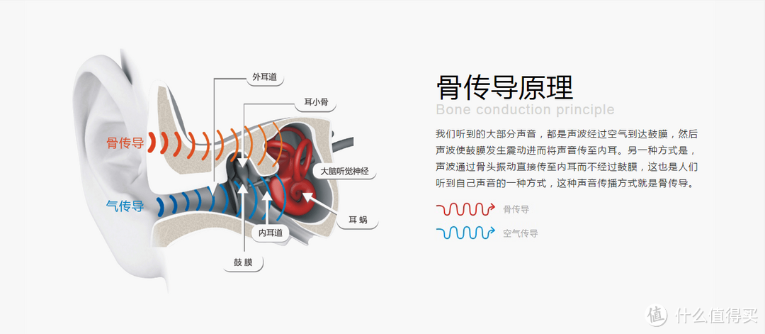 听说运动与骨传导耳机更配哦——韶音Trekz骨传导蓝牙运动耳机全方位体验（内有会动的真人兽）