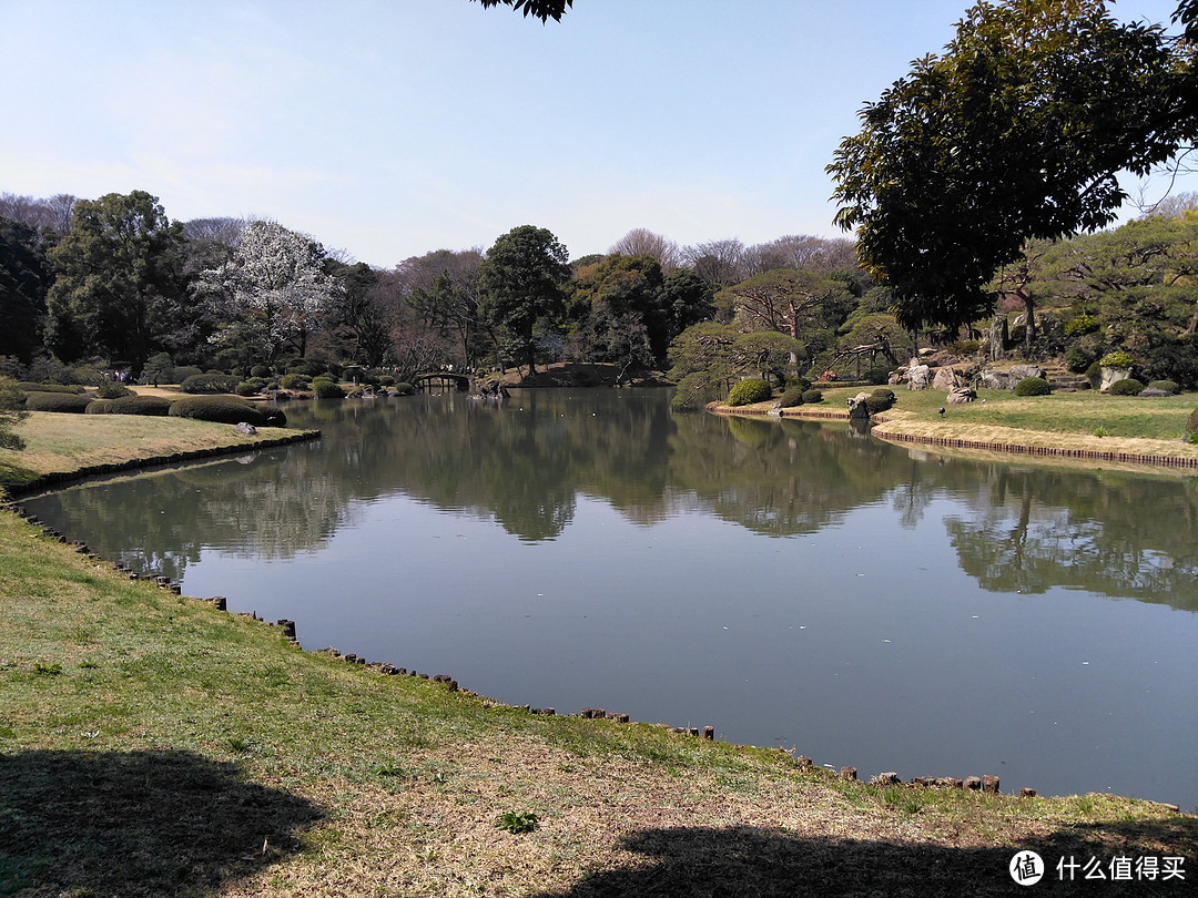 樱花主题两日：六义园+目黑川+上野+台场补完