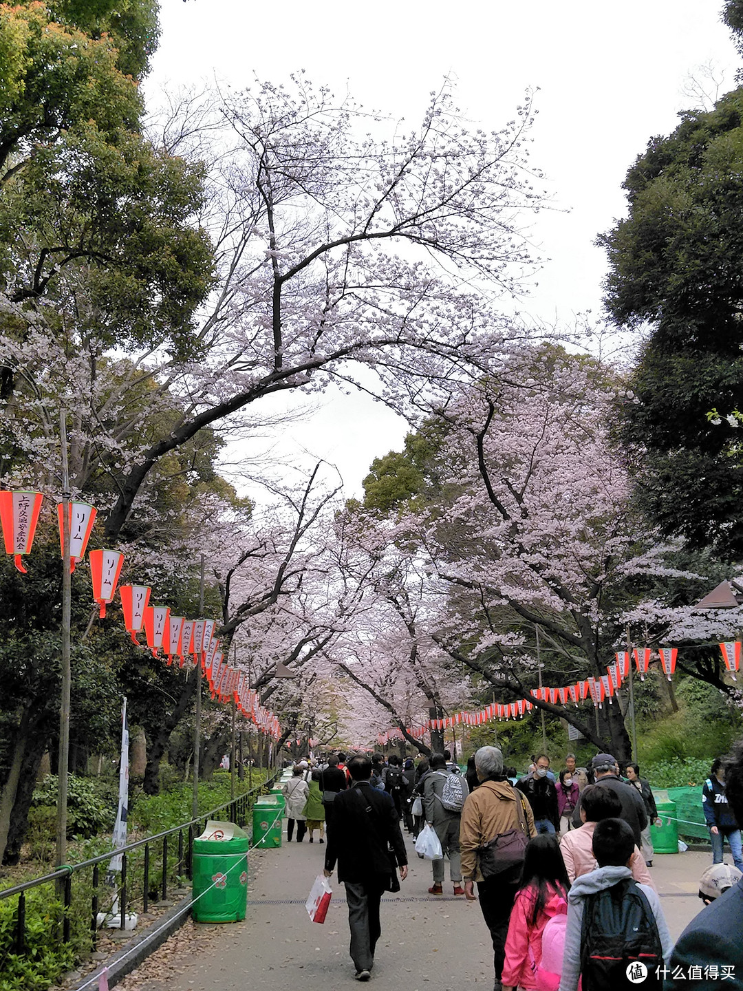 樱花主题两日：六义园+目黑川+上野+台场补完