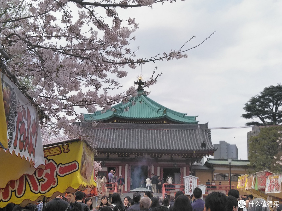 樱花主题两日：六义园+目黑川+上野+台场补完