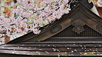 踏花归来马蹄香——2016春夫妻带娃日本花见记 篇一：行程计划以及奈良
