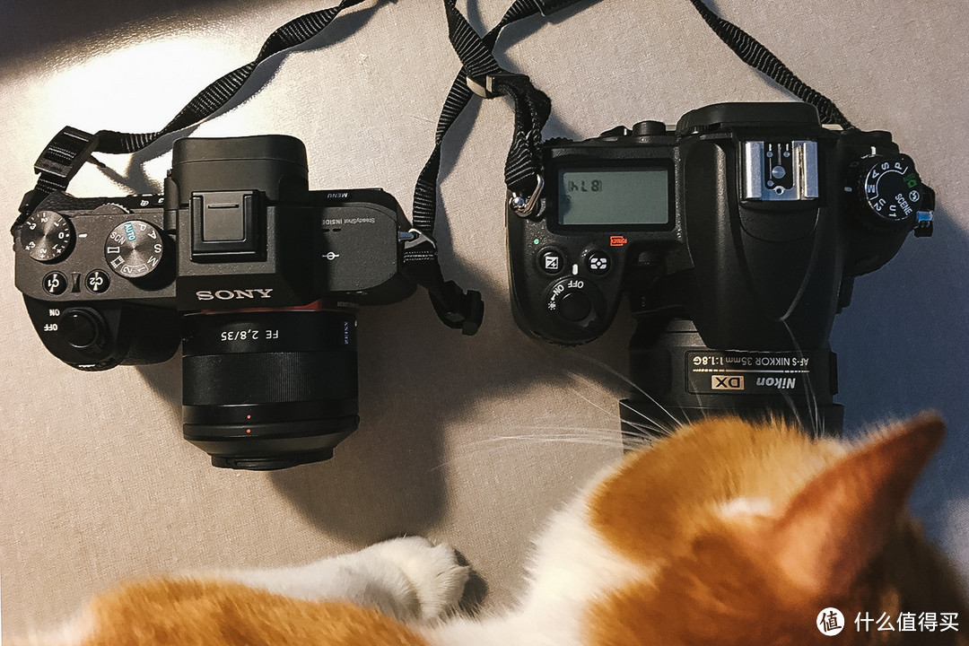 为了更好的拍猫：从 Nikon 尼康 D7000 到 SONY 索尼 A7M2