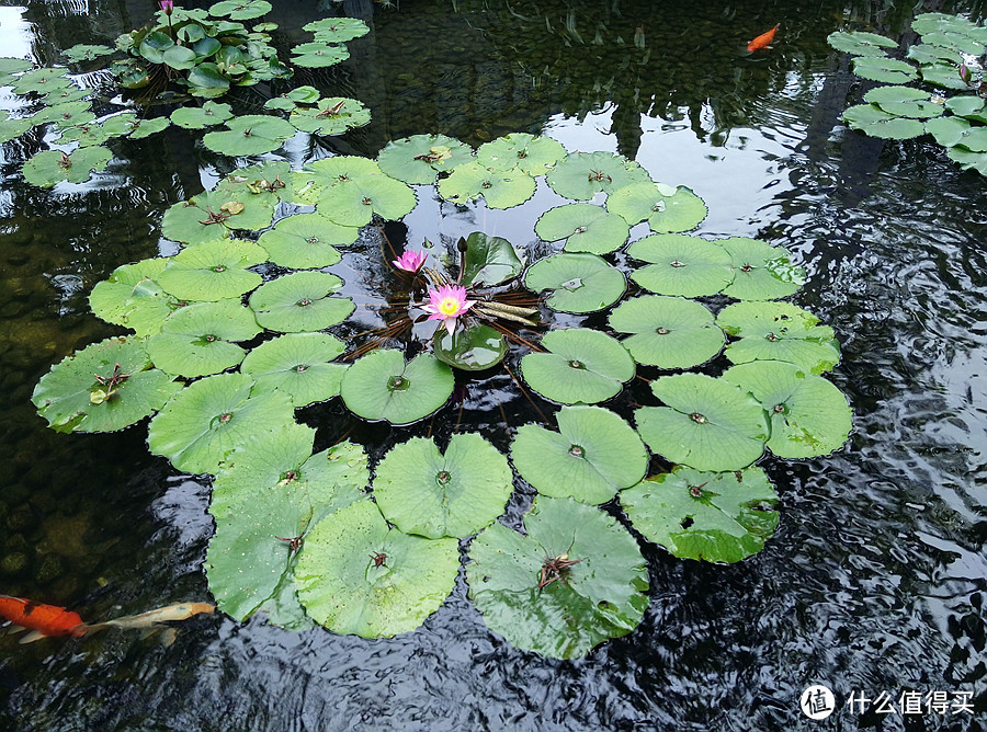 三亚洲际酒店哪家强？ 半山半岛vs海棠湾天房