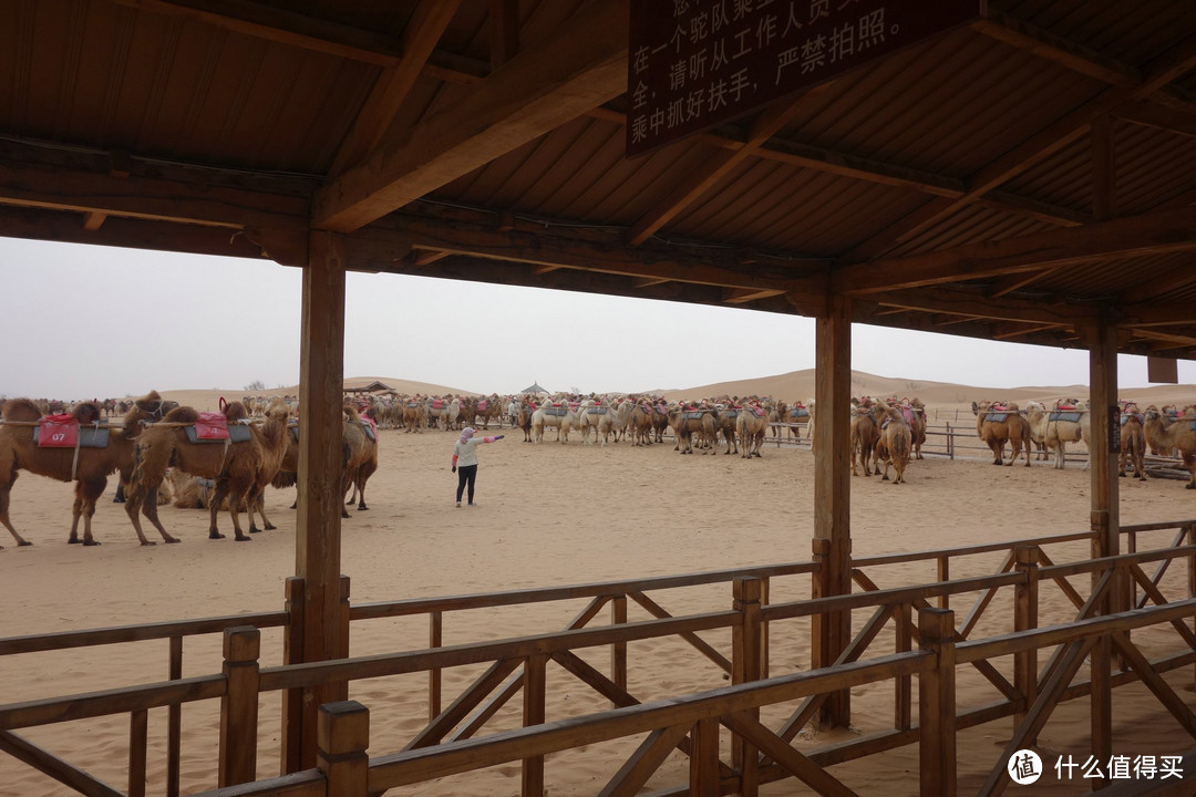 越过半个祖国来看你：记淡季的一次宁夏旅行