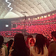 东京巨蛋看KAT-TUN组合的最后一场演出