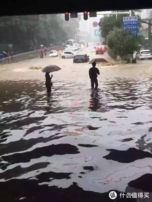 下雨不怕，王尼玛陪你看海！ 暴漫周边 雨伞 开箱