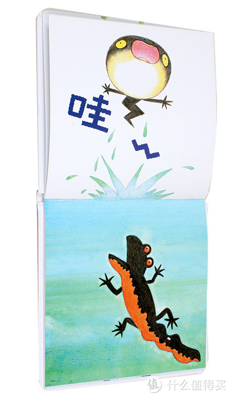 六一剁手儿童书籍观感：DK大眼睛洞洞书、杜莱百变创意玩具书等