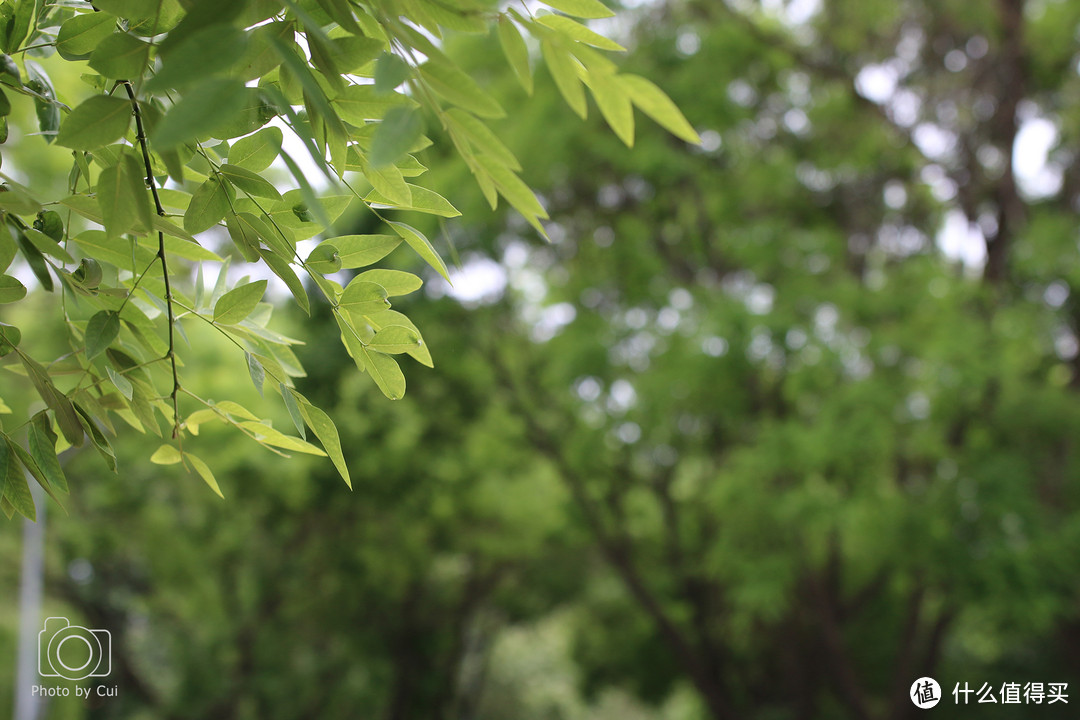 名不虚传：佳能EF35mm f/1.4L Ⅱ USM定焦镜头开箱