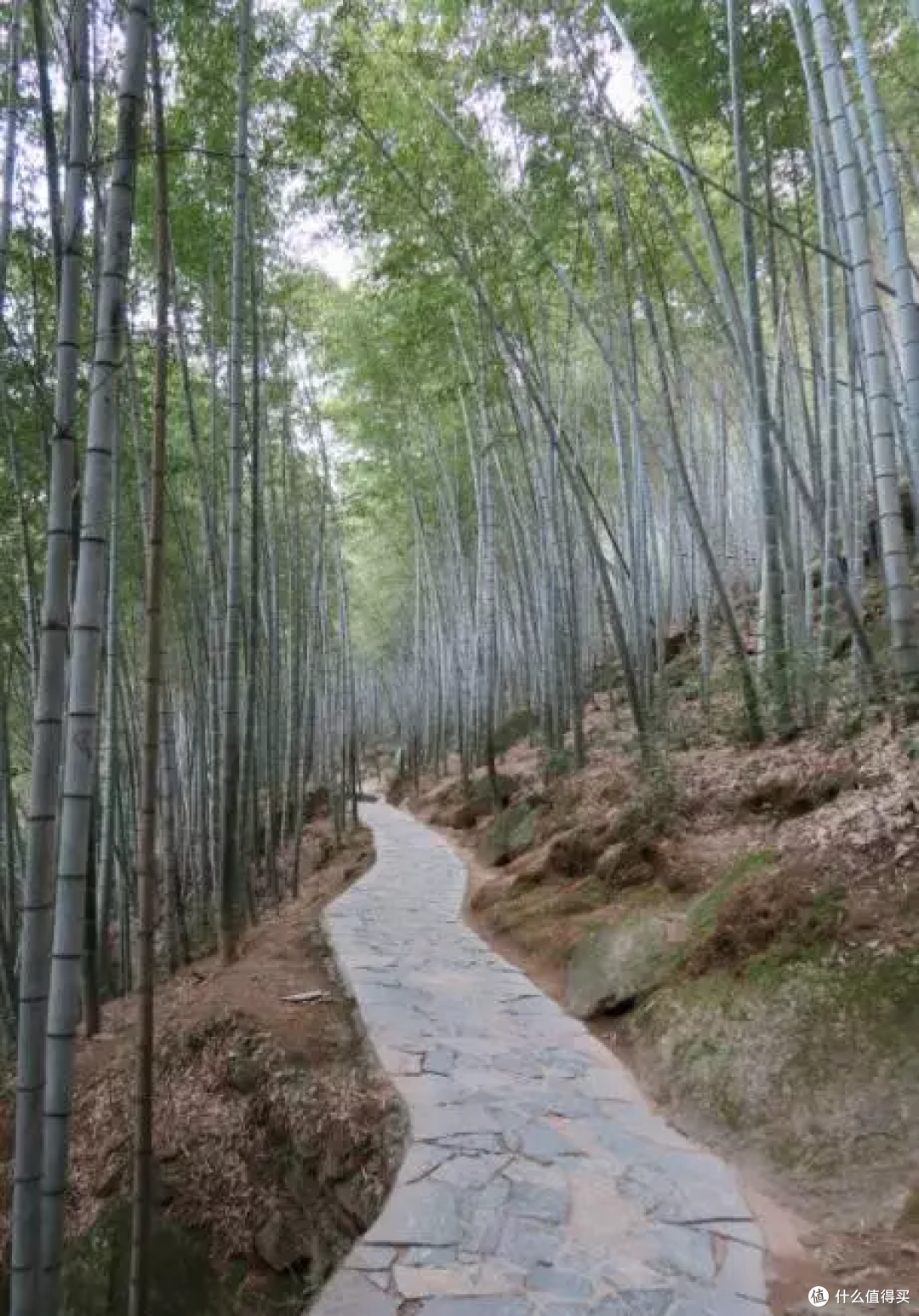 人杰山灵的黄山
