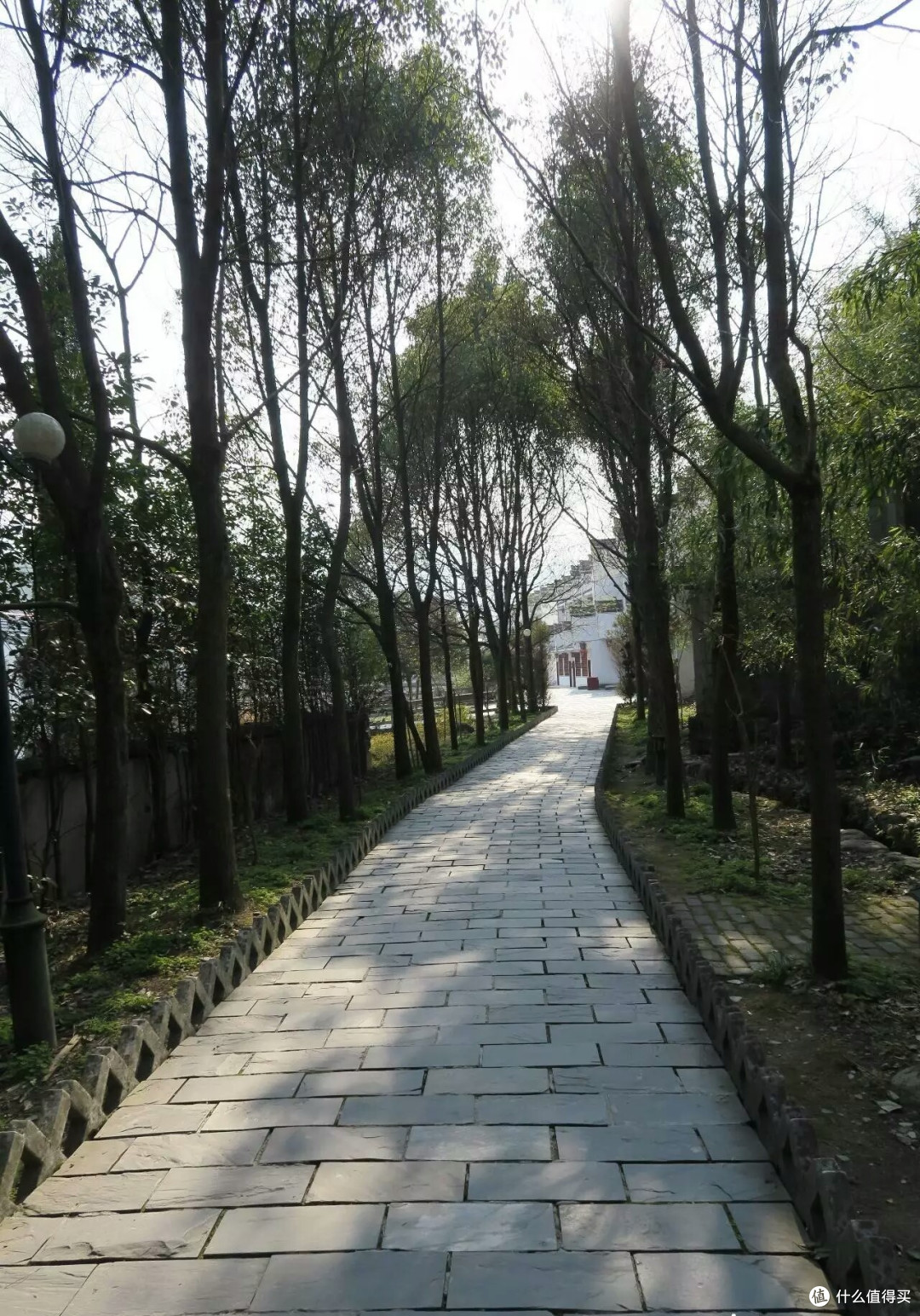 人杰山灵的黄山