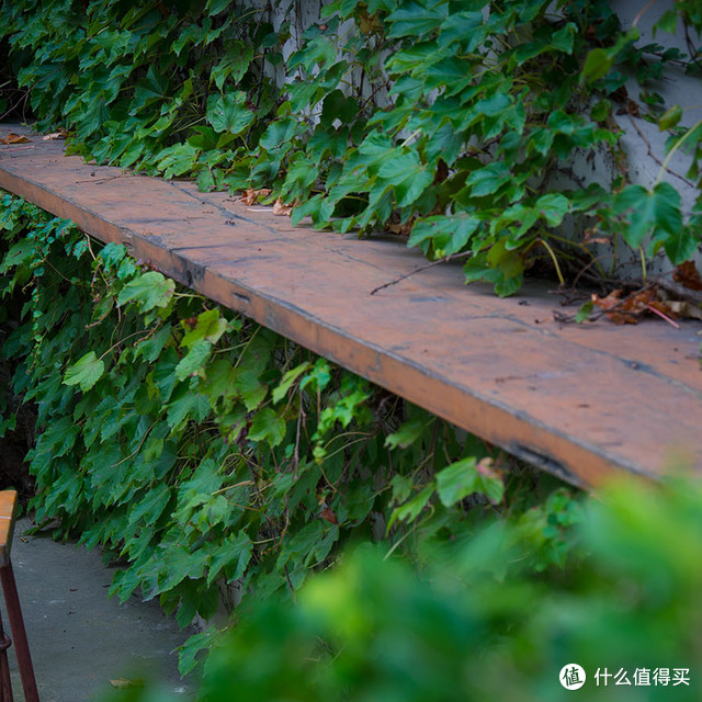 就简单说说 SIGMA 适马 24-105 F4 OS 标准变焦镜头 使用感受