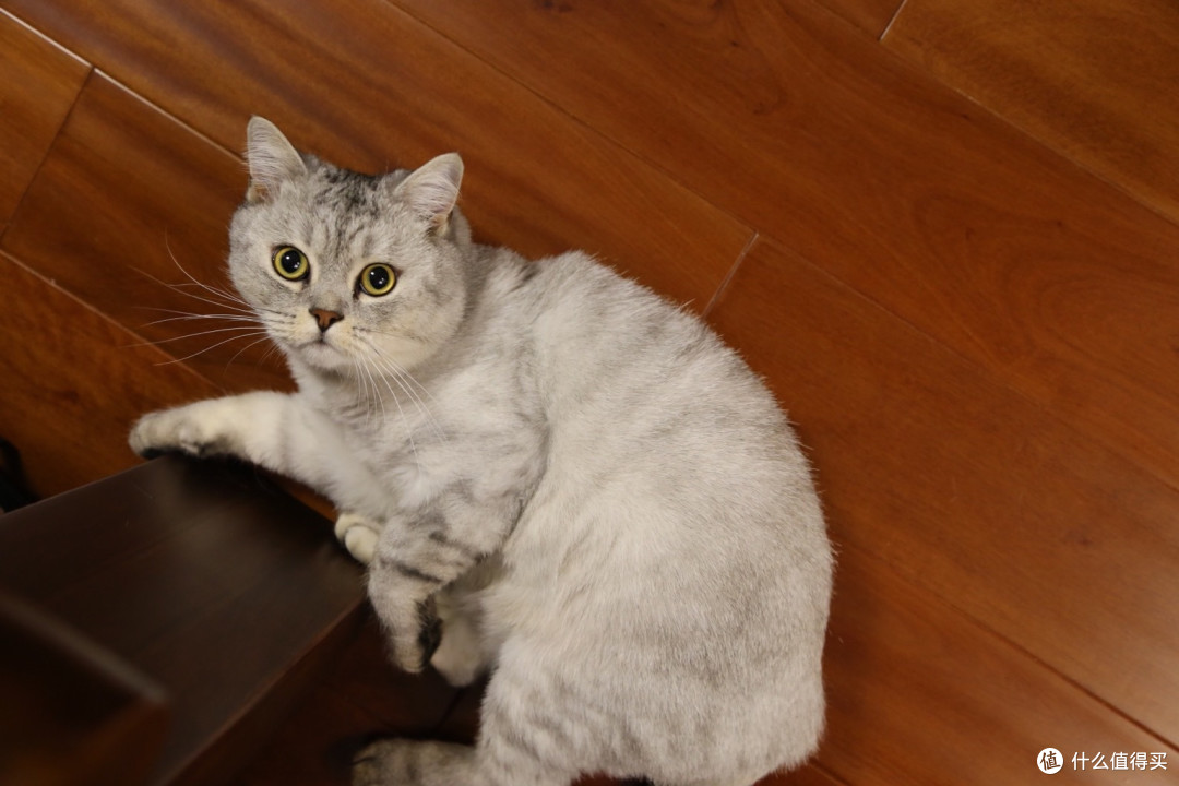 借旅游之机入坑单反:Canon 佳能 EOS 6D KIT 数码单反相机 套机(EF 24-105mmf/4lUSM) 开箱