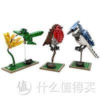 等一朵花开的时间：LEGO 乐高 21301 鸟类模型