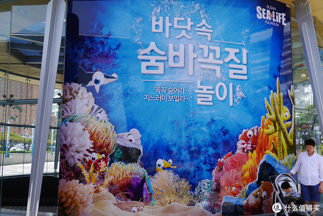 泡菜什么的最讨厌了：发现旅行釜山之旅