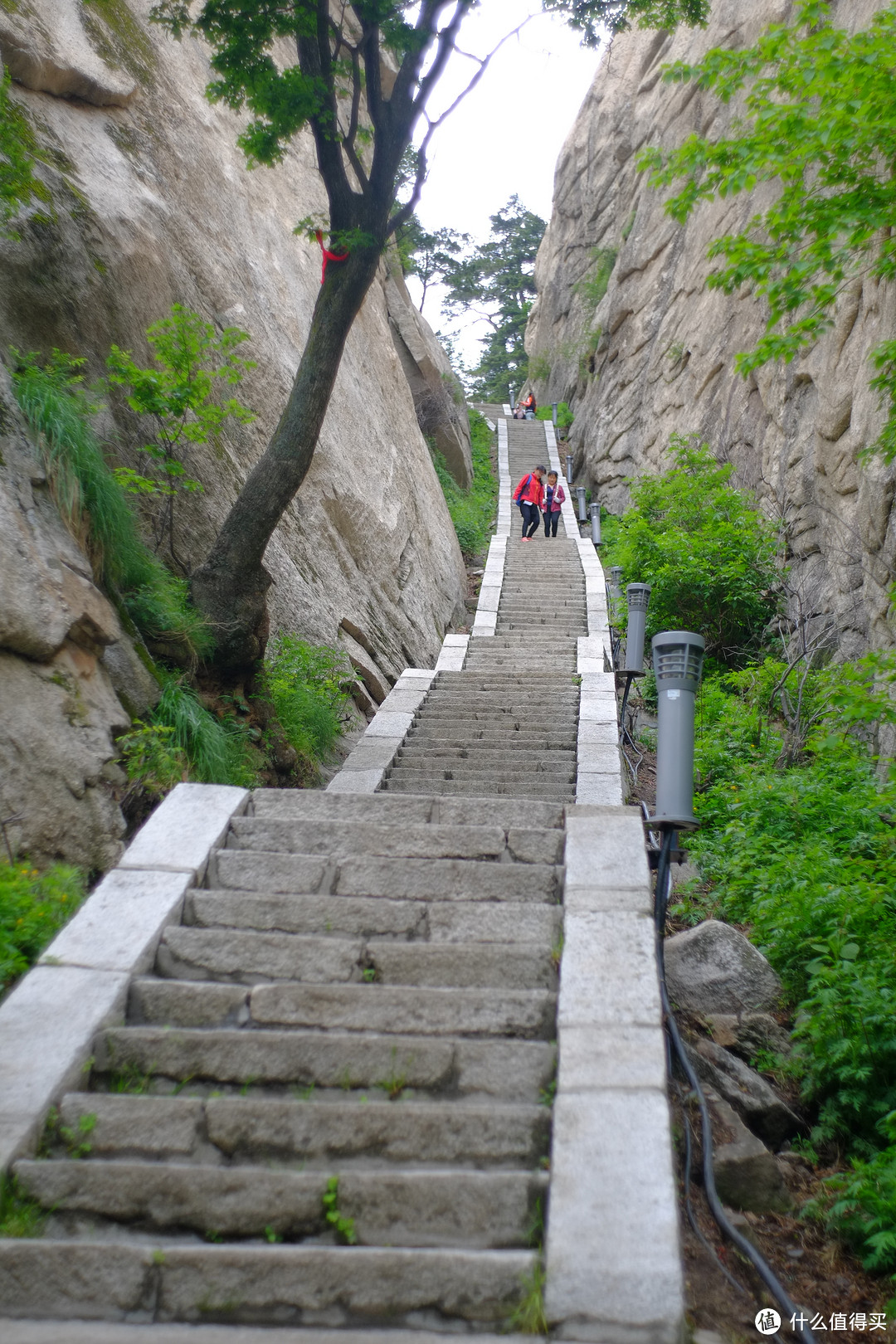 西岳华山半日游