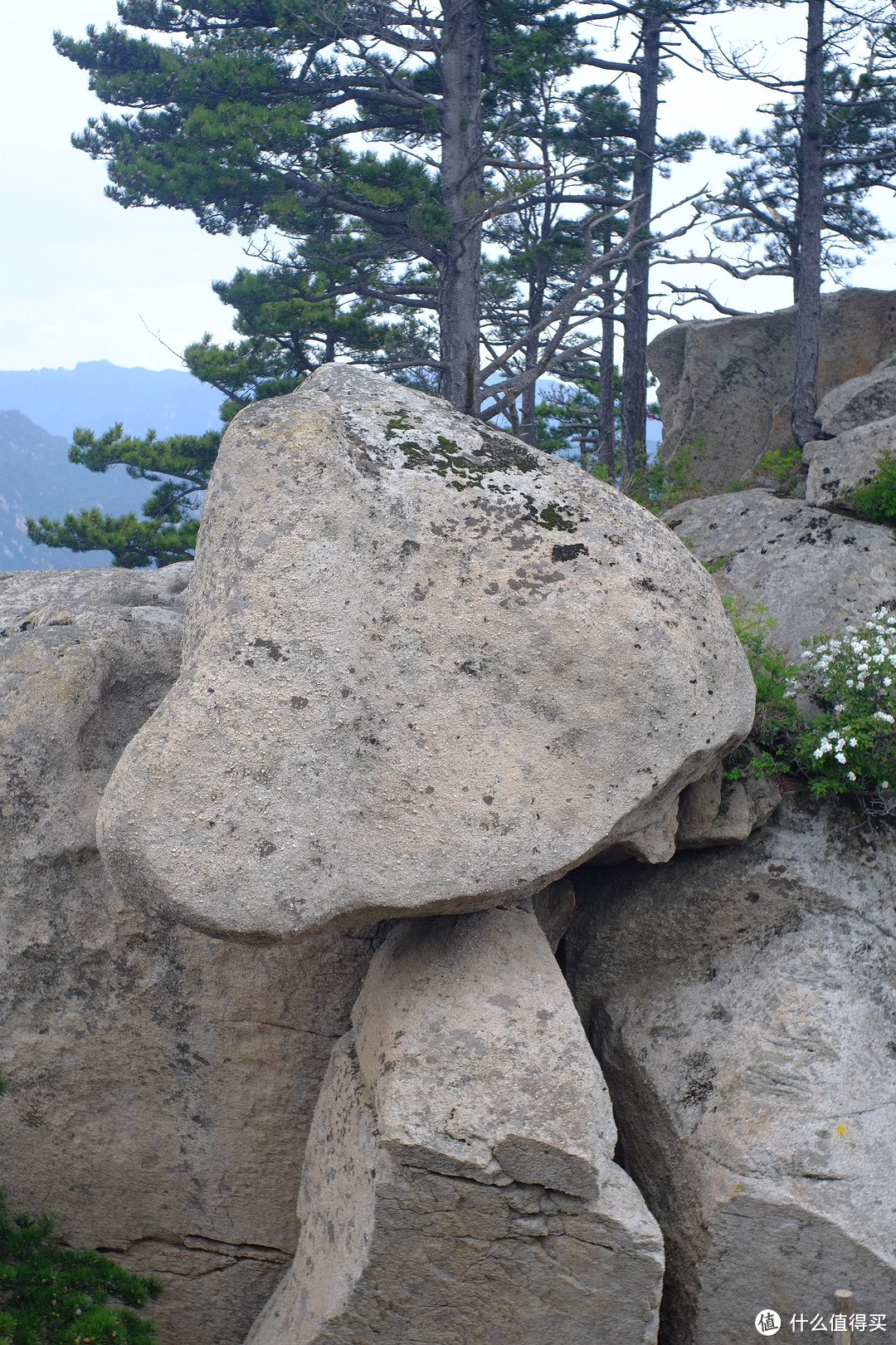 西岳华山半日游