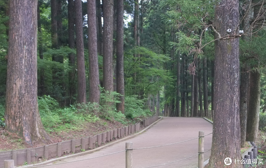 湖光山色,美不胜收——富士箱根周游券3日玩法攻略