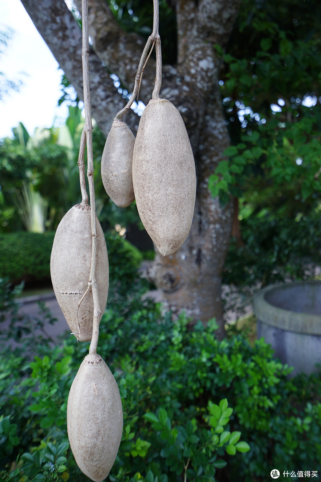 RIMBA Jimbaran BALI by Ayana