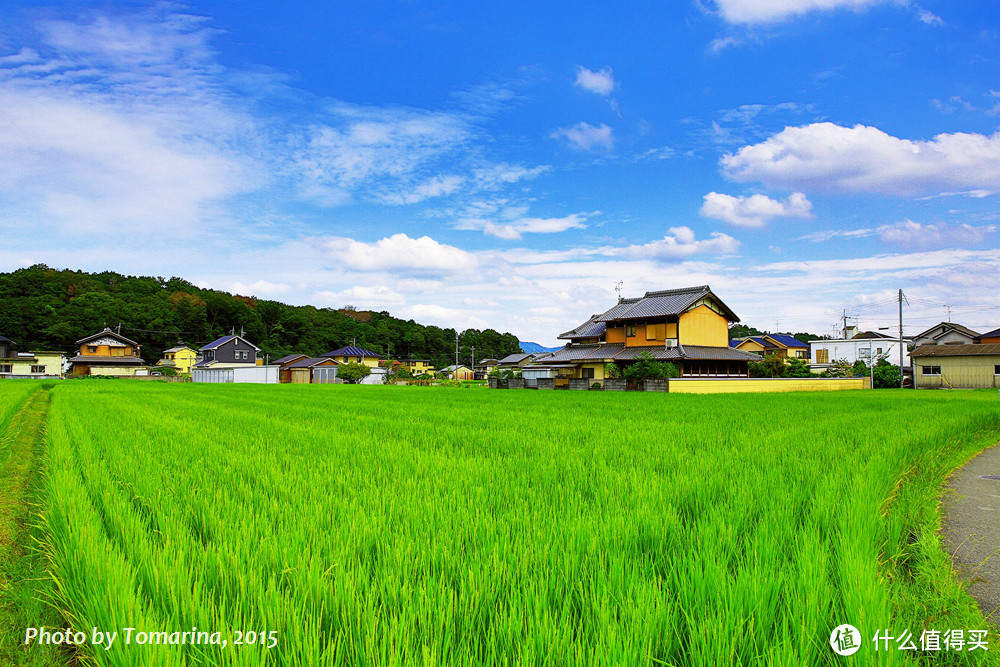 霓虹夏天の味道 (奈良、京都、镰仓)