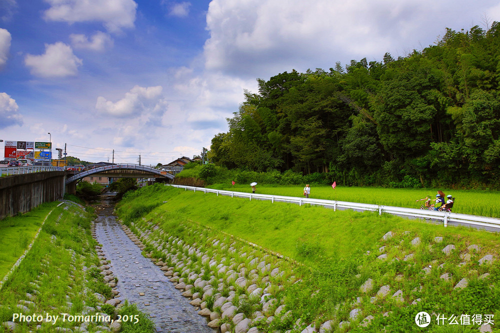 霓虹夏天の味道 (奈良、京都、镰仓)