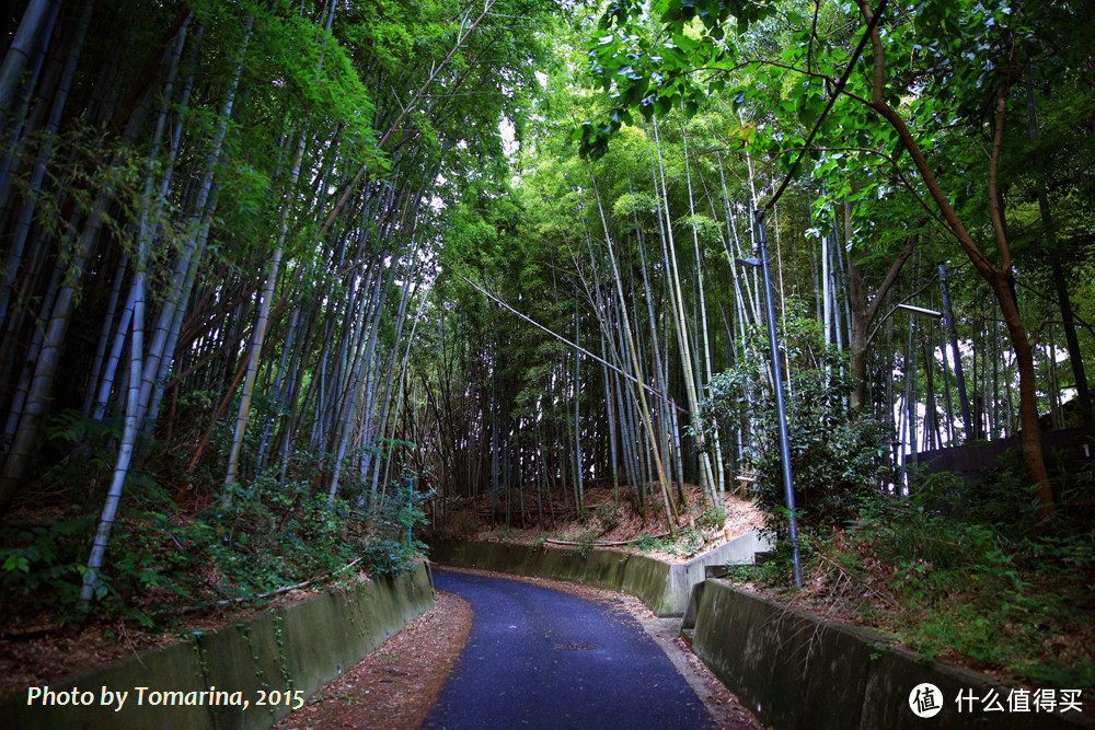 霓虹夏天の味道 (奈良、京都、镰仓)