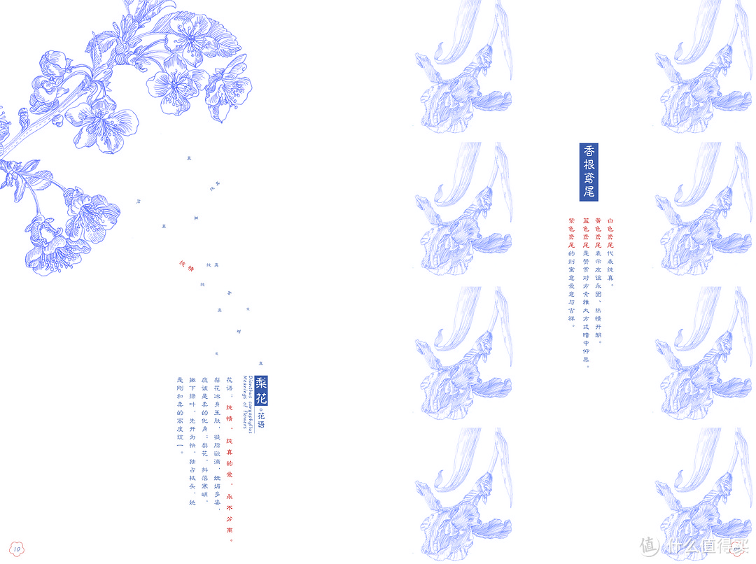 谈谈大学四年完美的画上句号 — 毕业设计