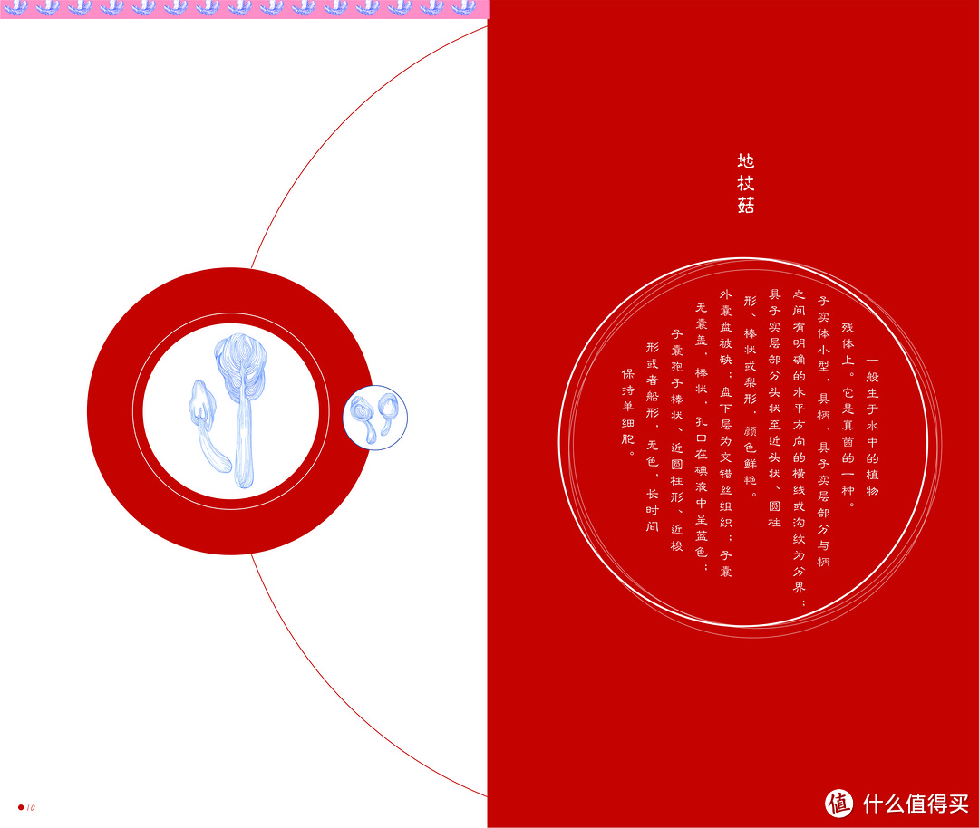 谈谈大学四年完美的画上句号 — 毕业设计