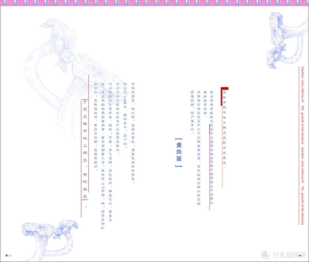 谈谈大学四年完美的画上句号 — 毕业设计