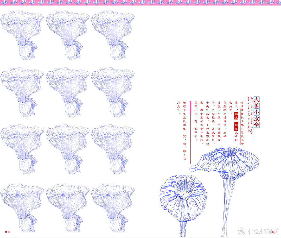 谈谈大学四年完美的画上句号 — 毕业设计