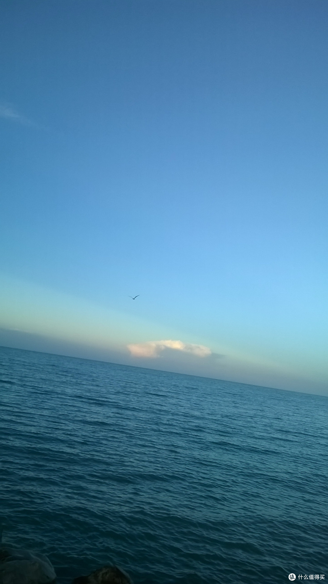 与室友的毕业青海游(青海湖+茶卡镇)