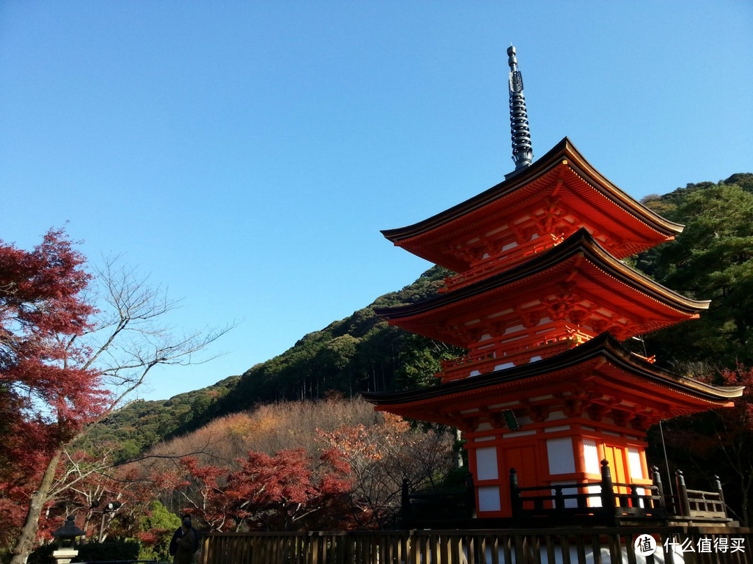 日本团体游的建议和猫腻