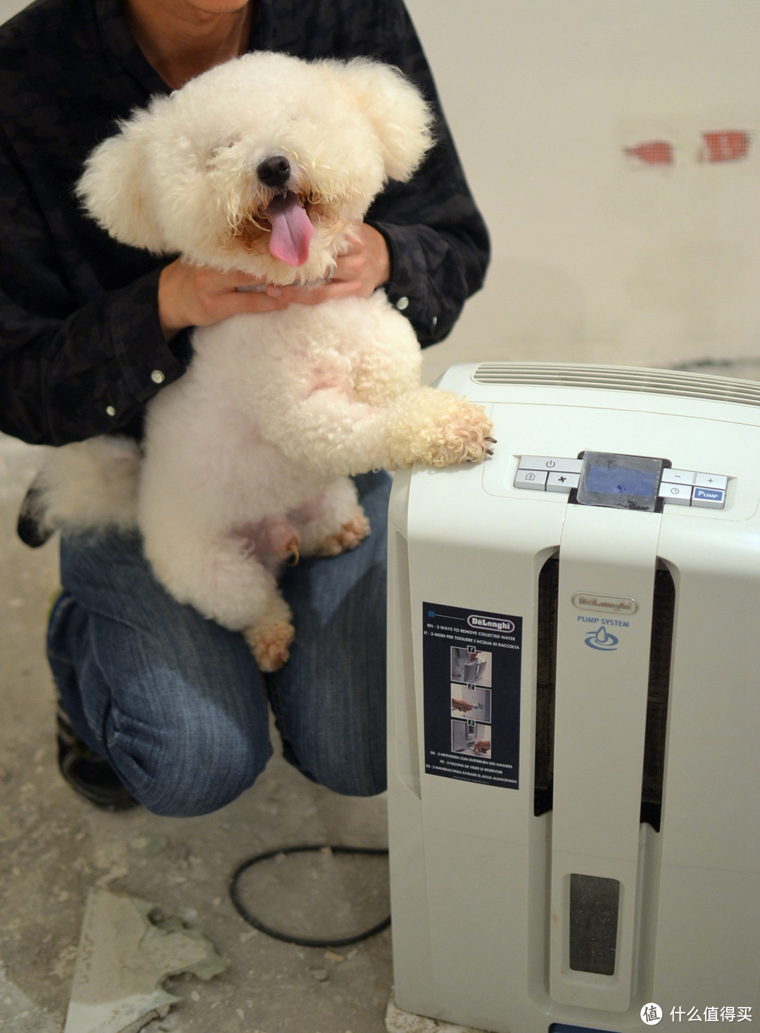 一言不合暴雨攻击，一台除湿机帮你镇宅：Delonghi 德龙 DD40P 家用吸湿除湿机