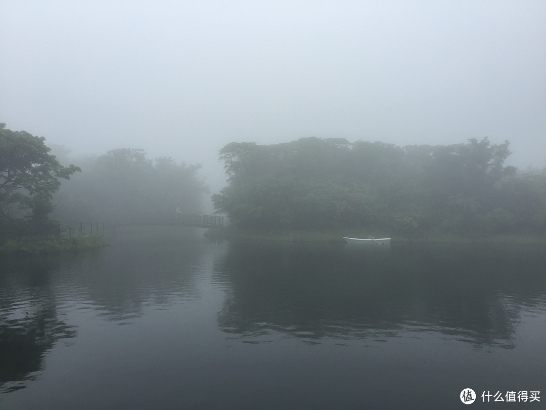 与其爬山看海 不如迷雾森林——济州岛 Ecoland 火车生态公园 游记