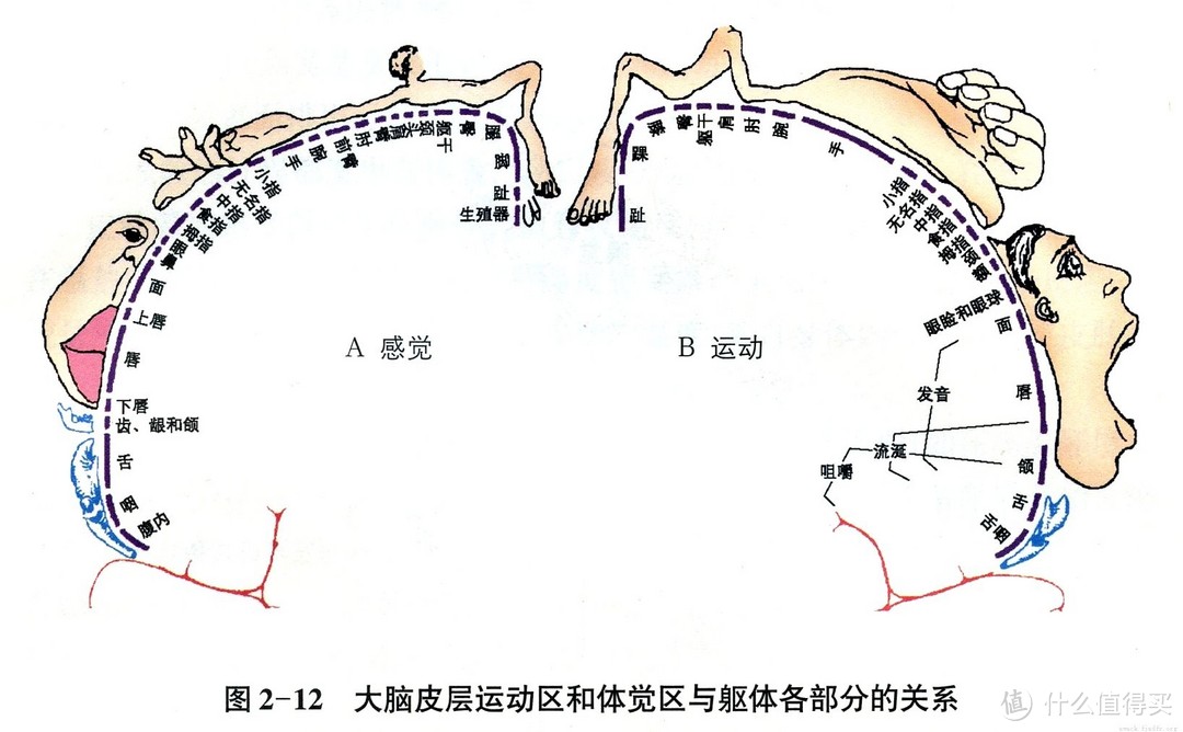 游戏好助攻——称心游戏鼠标挑选指南