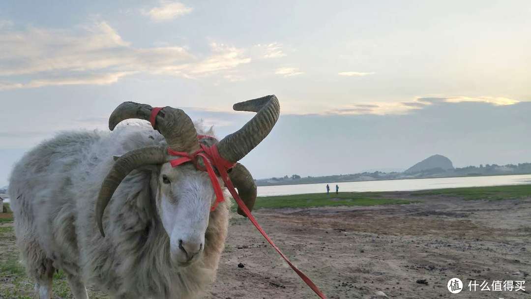 说走就走-端午小长假 乌兰布统草原深度游