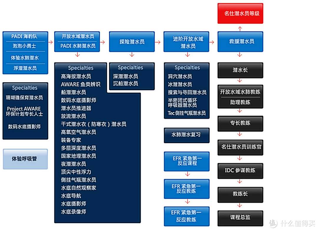 #618看我的# 入门初级浮潜&潜水爱好者的618装备选购（附真人秀）