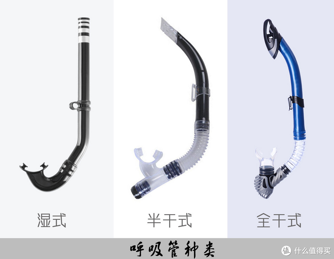 #618看我的# 入门初级浮潜&潜水爱好者的618装备选购（附真人秀）