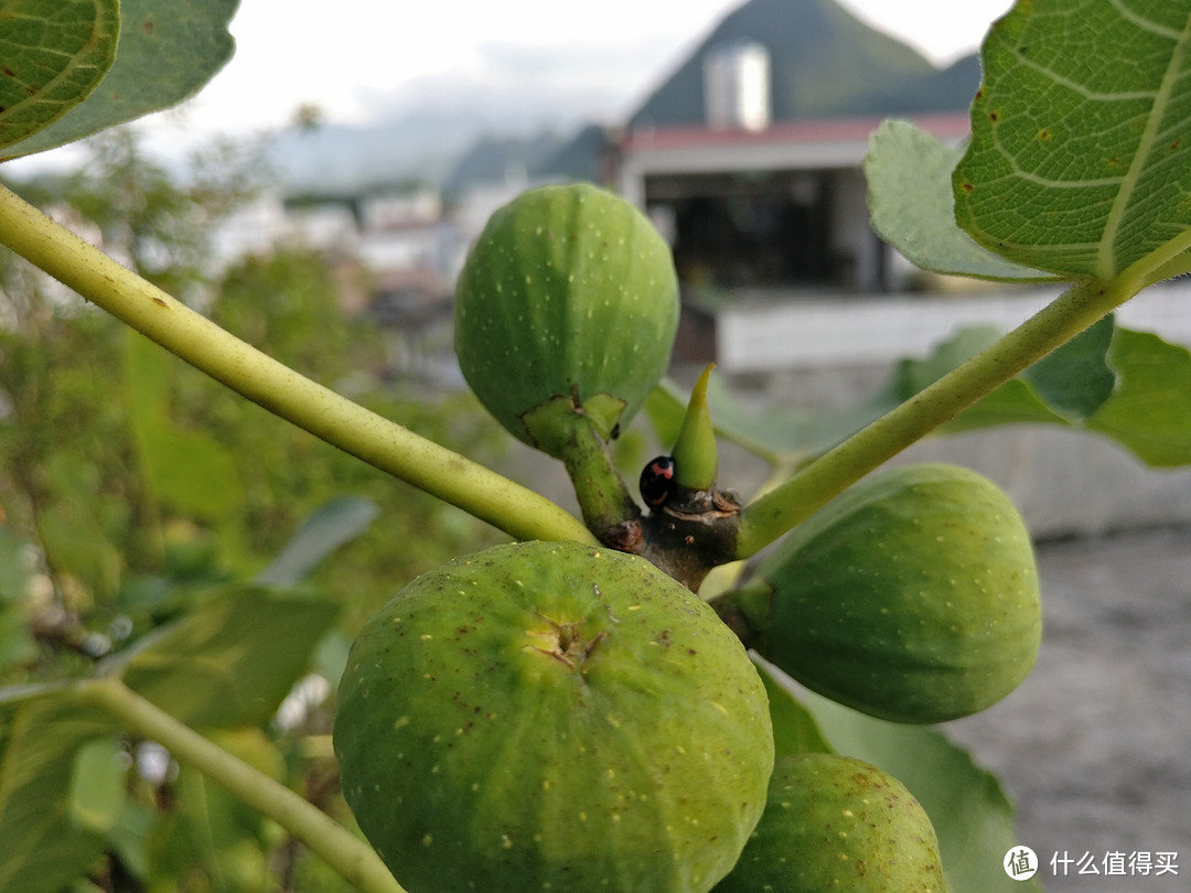 一加3 全网通智能手机 简单对比评测