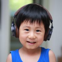 铁三角 ATH-SR5 耳机使用感受(低频|中频|高频|驱动力)