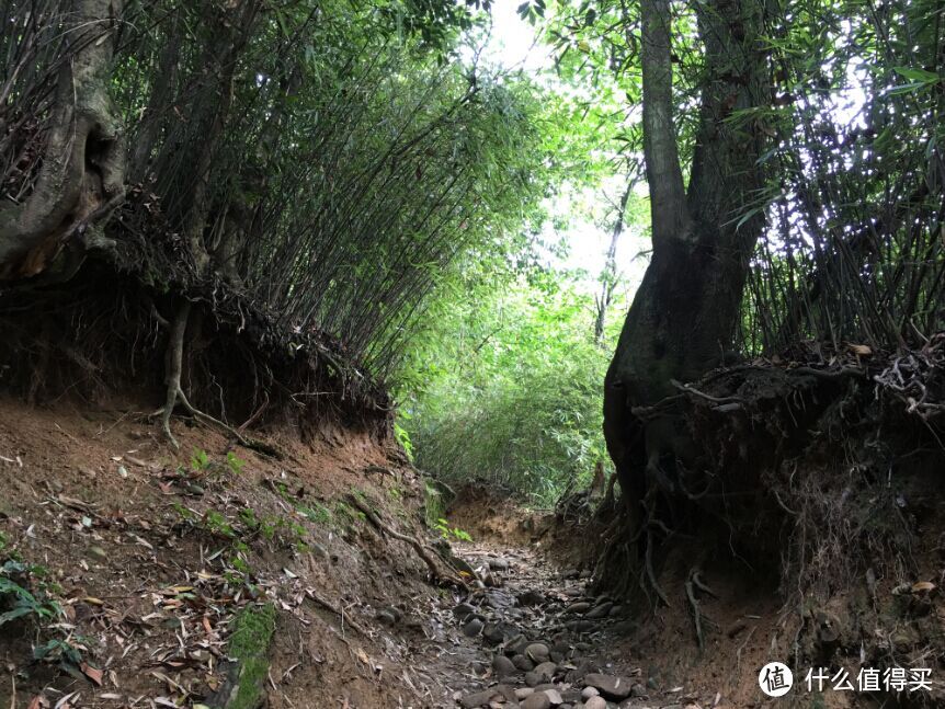 野趣的呼唤与泥泞的考验——初登赵公山体验