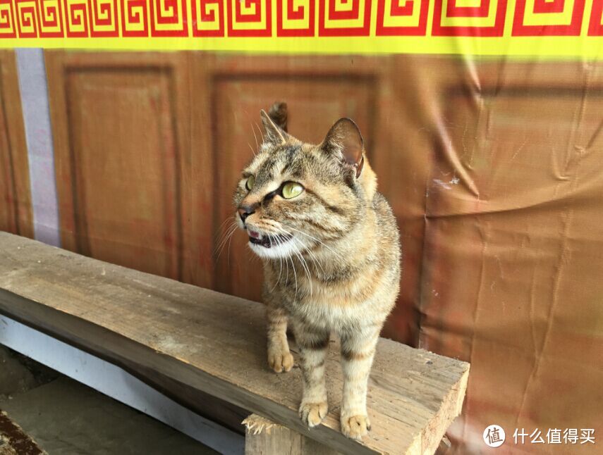 野趣的呼唤与泥泞的考验——初登赵公山体验