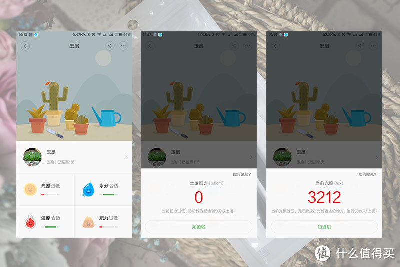 与你心爱的花儿对话——小米 花花草草监测仪使用分享