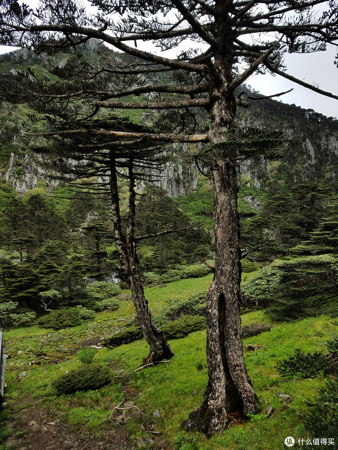 游走昆大丽下篇，我眼中的颜色——苍山、洱海、古城