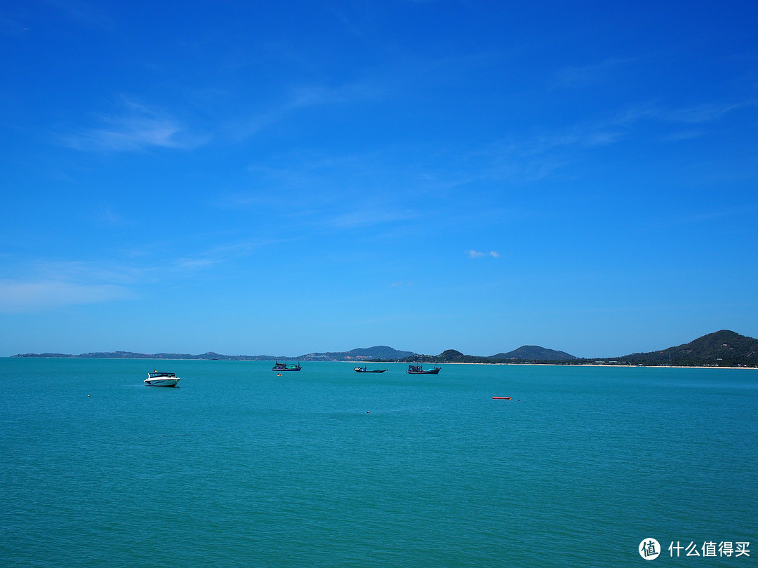 失业青年的涛岛潜水之旅