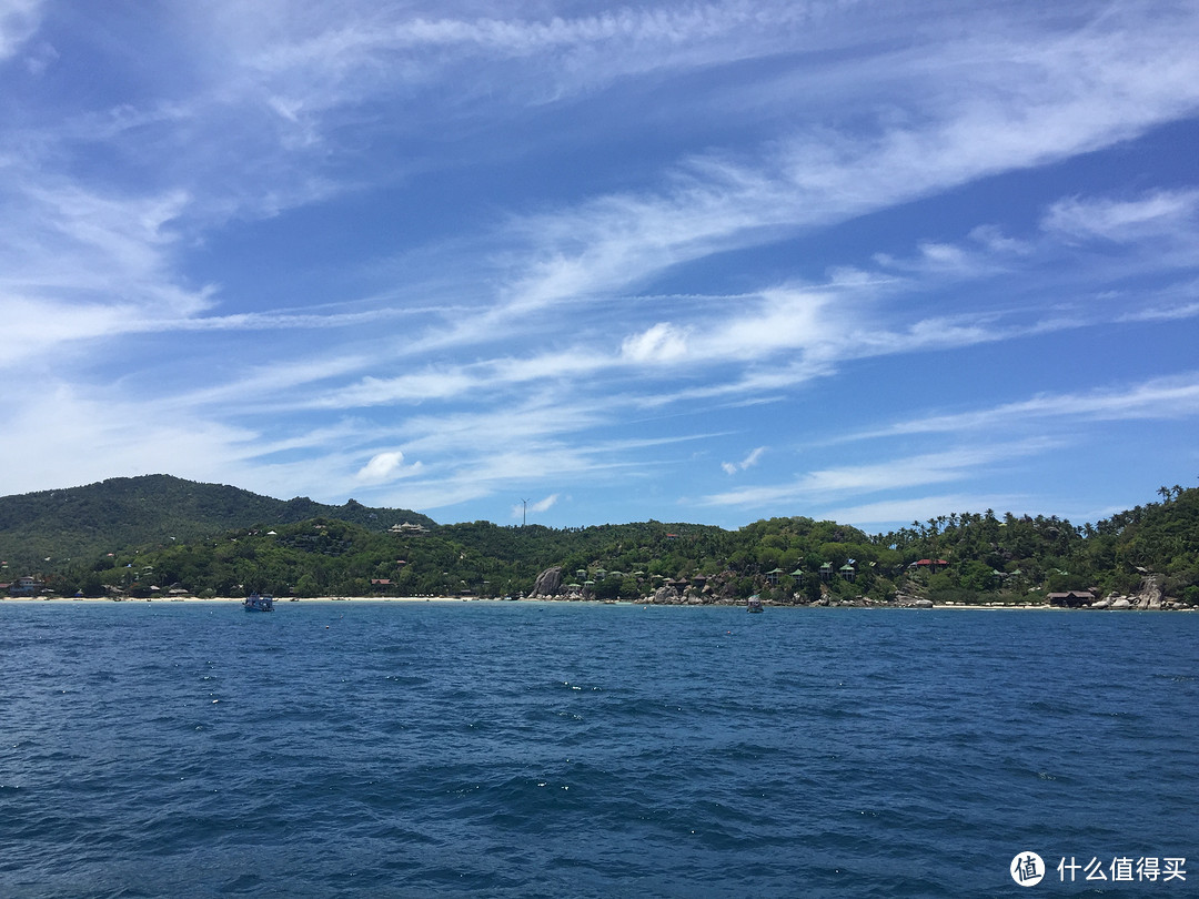 失业青年的涛岛潜水之旅