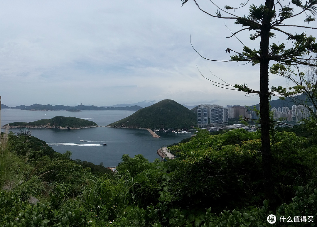 走在香港L：一场说走就走的海洋公园之旅