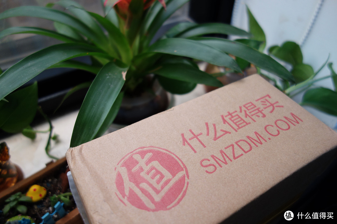 外表圆润有形,内心有条不紊:LIFESENSE 乐心 mambo watch 智能手表使用报告