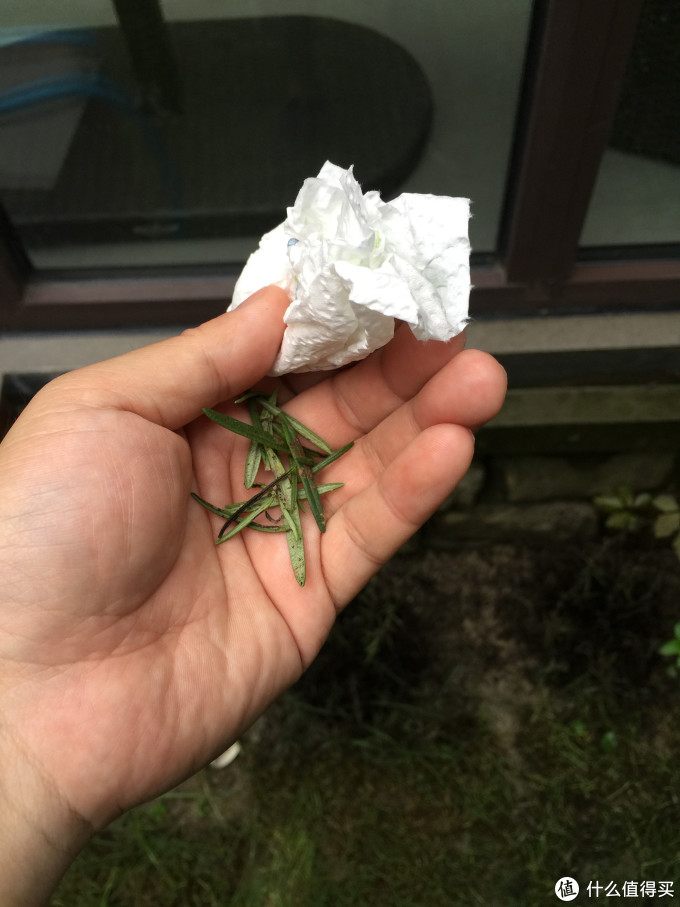 旧时王谢堂前燕 烹饪小白的海陆大餐 帝王蟹 牛排 其他厨房电器 什么值得买